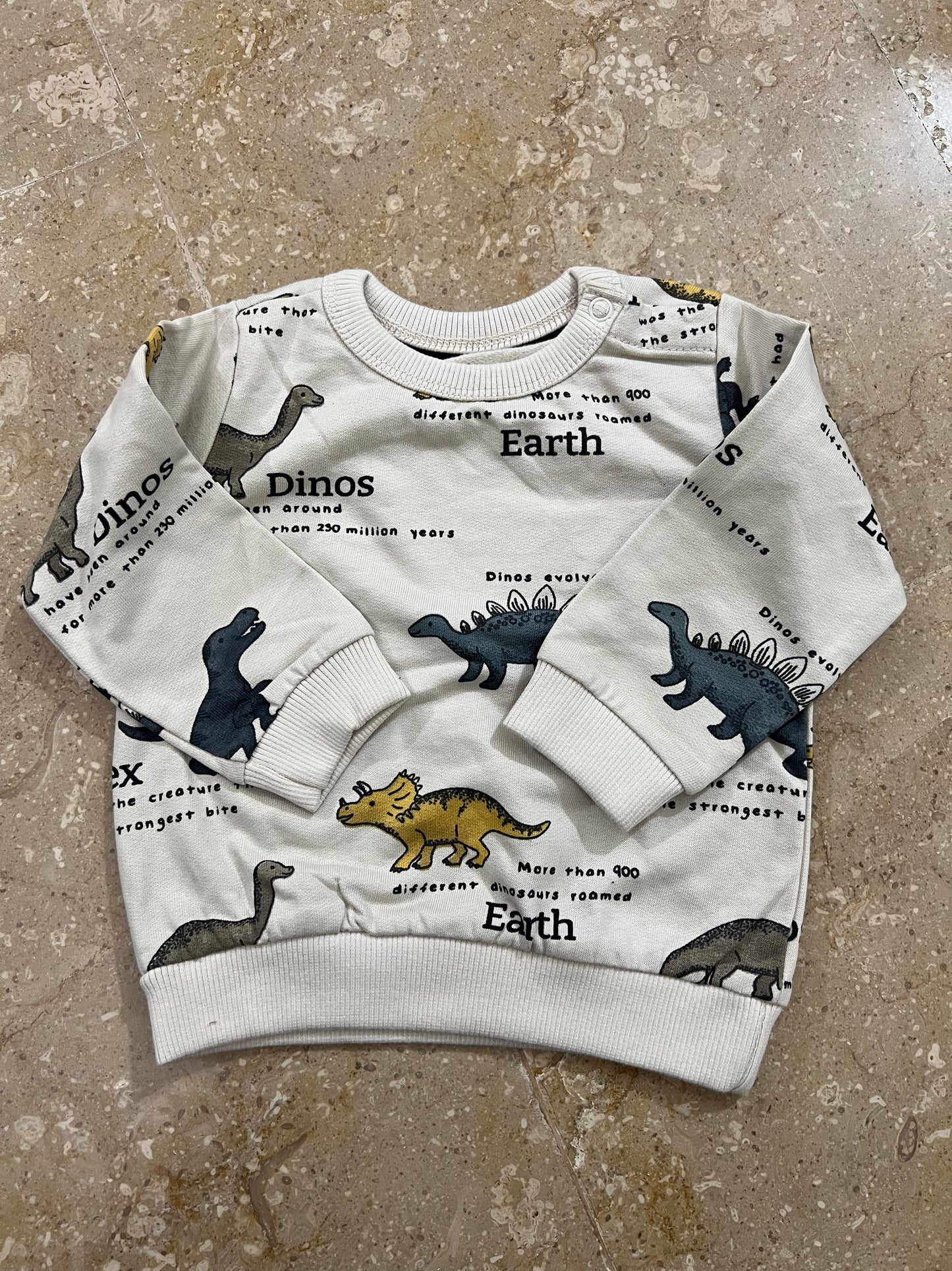 Dino Sweatshirt (3 months size)