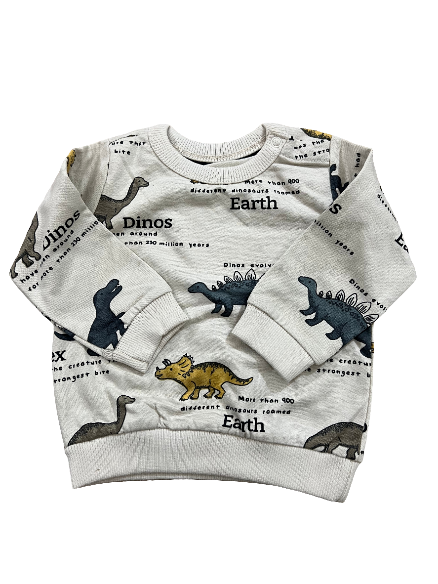Dino Sweatshirt (3 months size)
