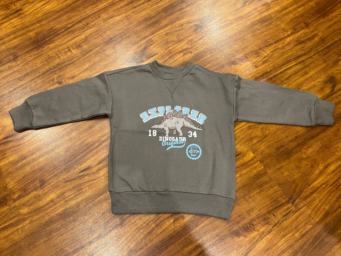 Sinsay Branded Dino Explorer Sweatshirt