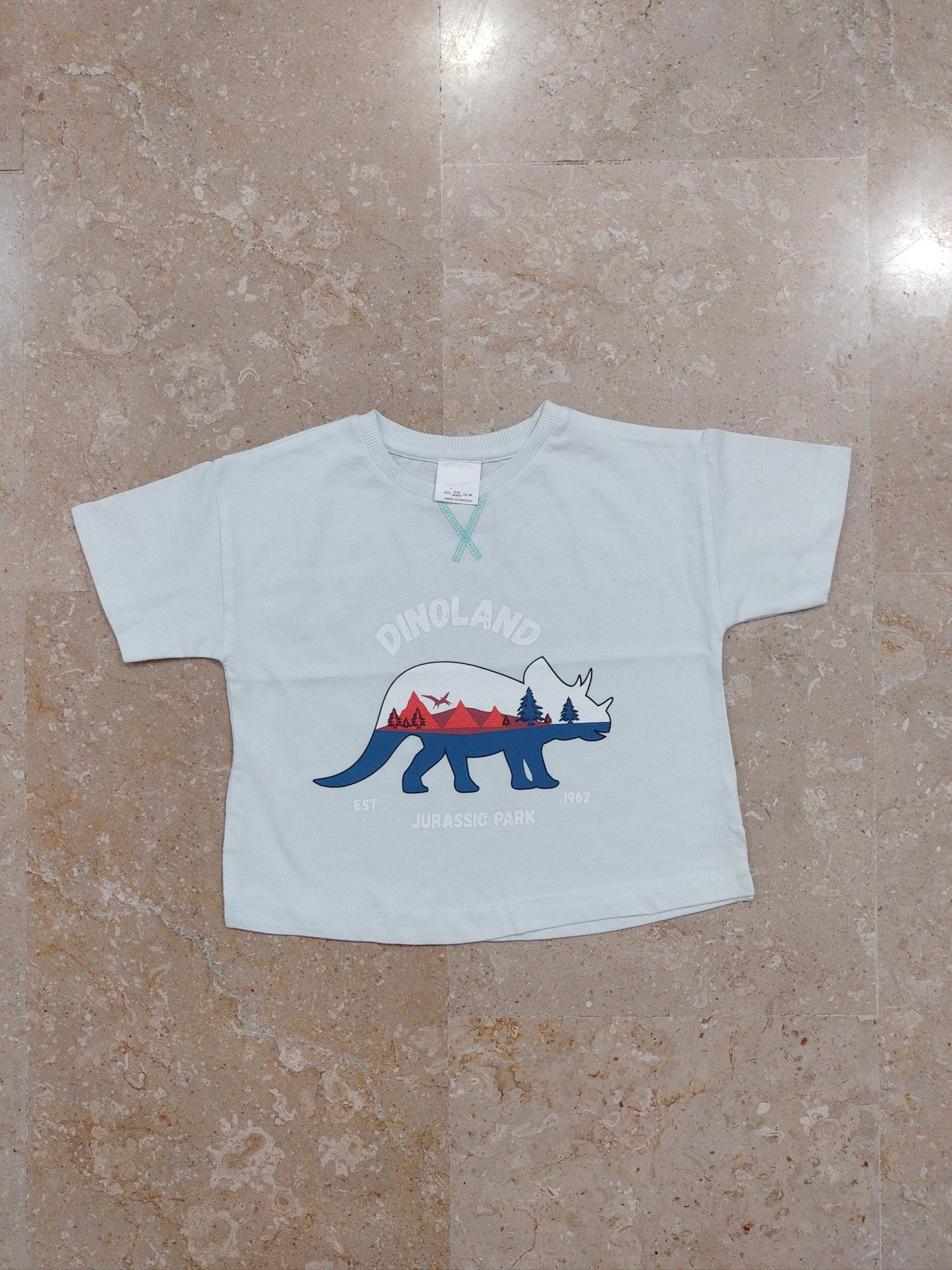 Light Blue Dino Printed Tshirt