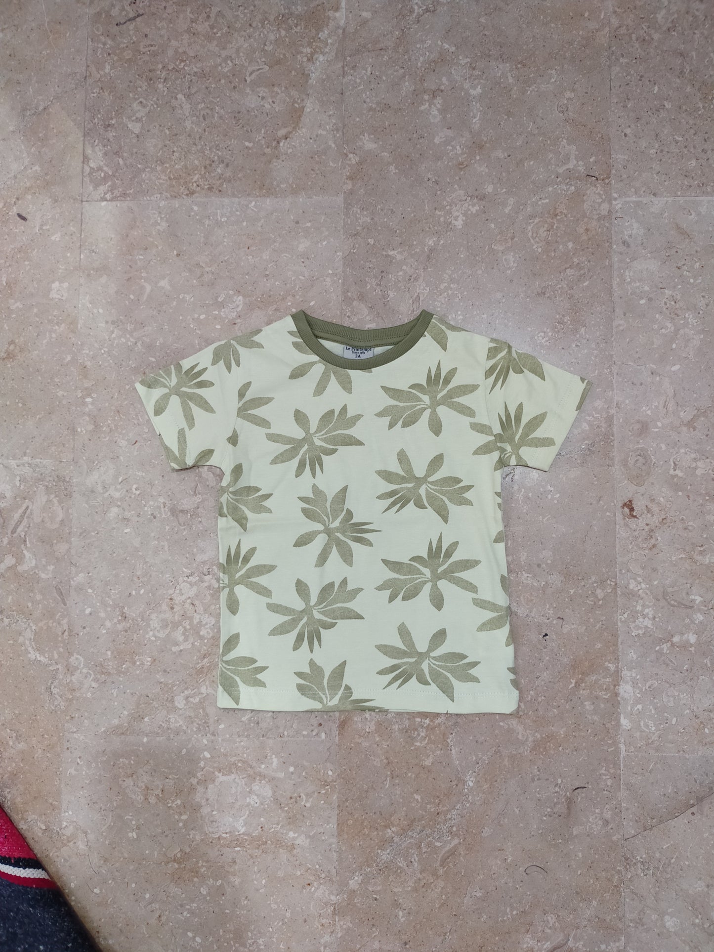 Summer Printed Tshirt for Kids