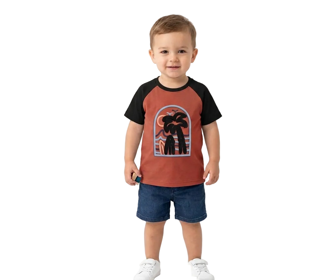 Dark Peach Embroidered Summer T-shirt for Boys