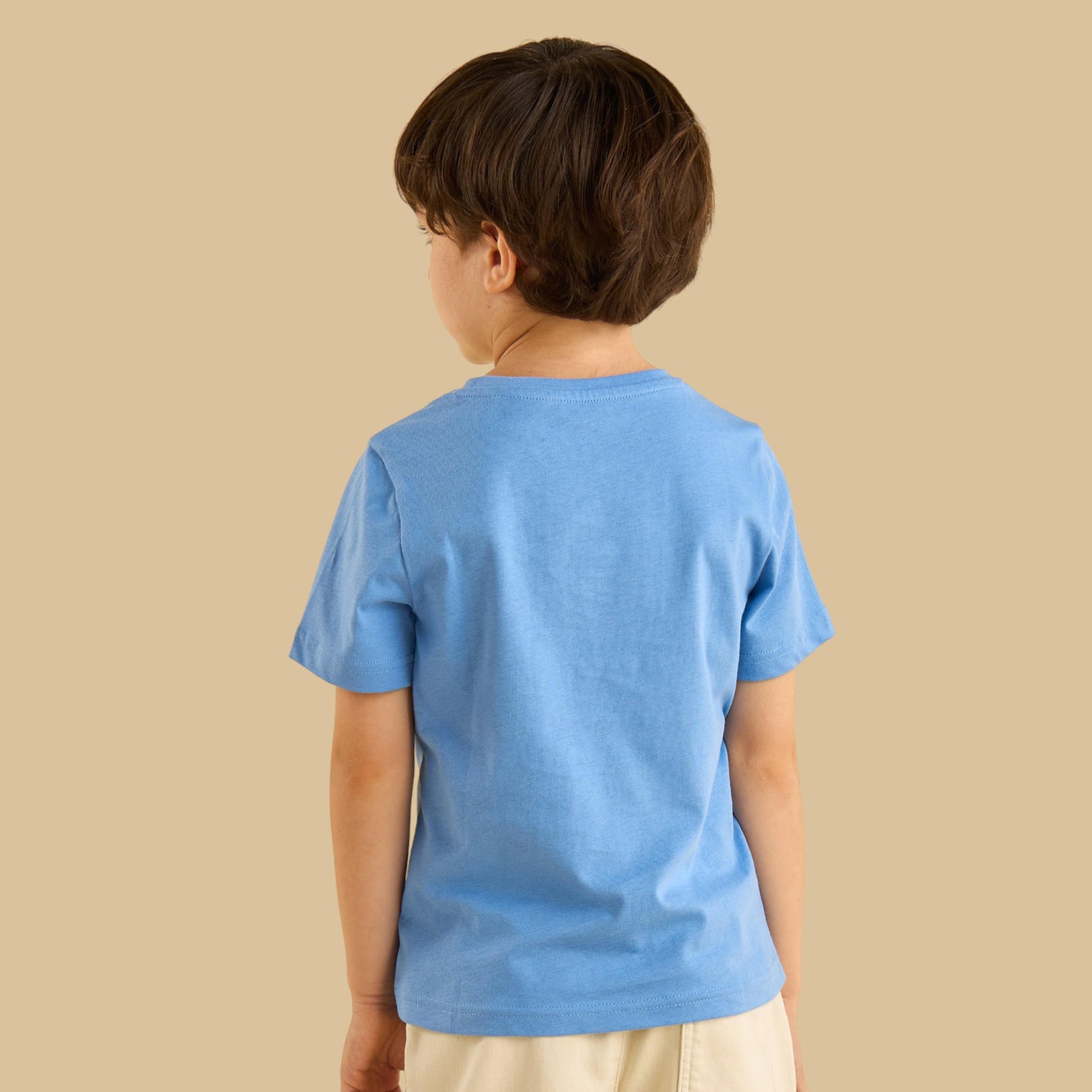 Max Branded Dino Set 2 PC Set
