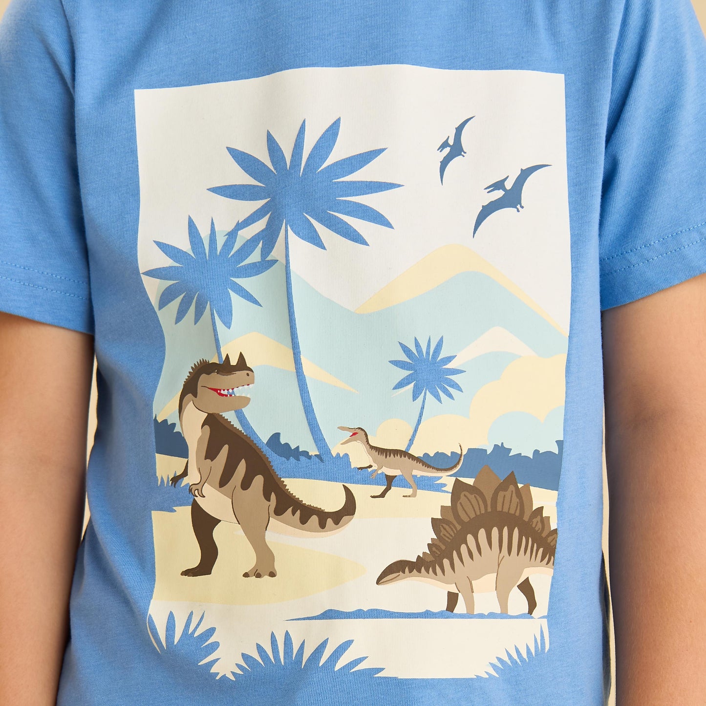 Max Branded Dino Set 2 PC Set