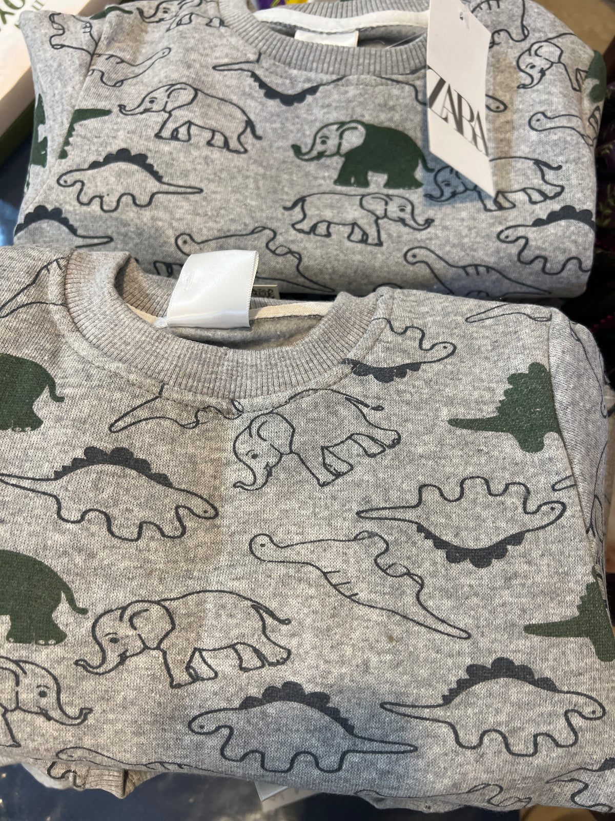 Zara Branded 2 PC Tracksuit for Boys