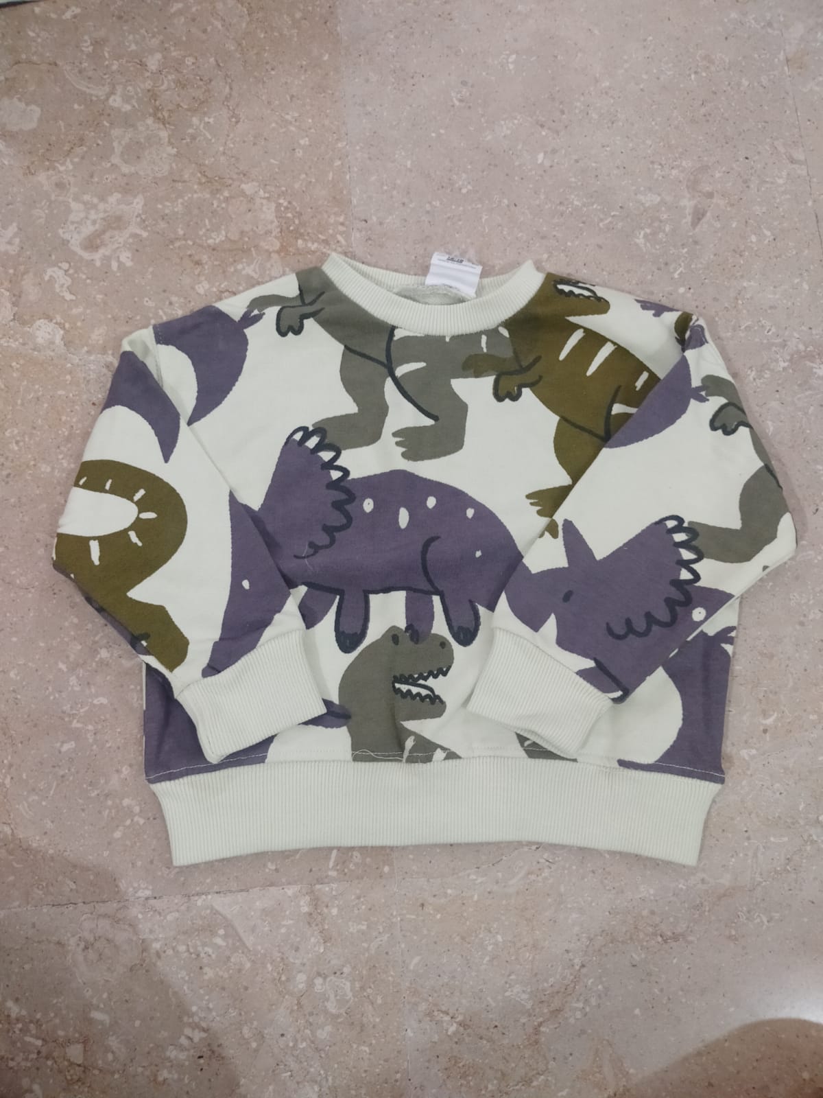 Dino Sweatshirt for Kids