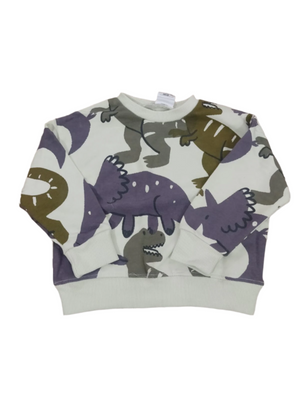 Dino Sweatshirt for Kids