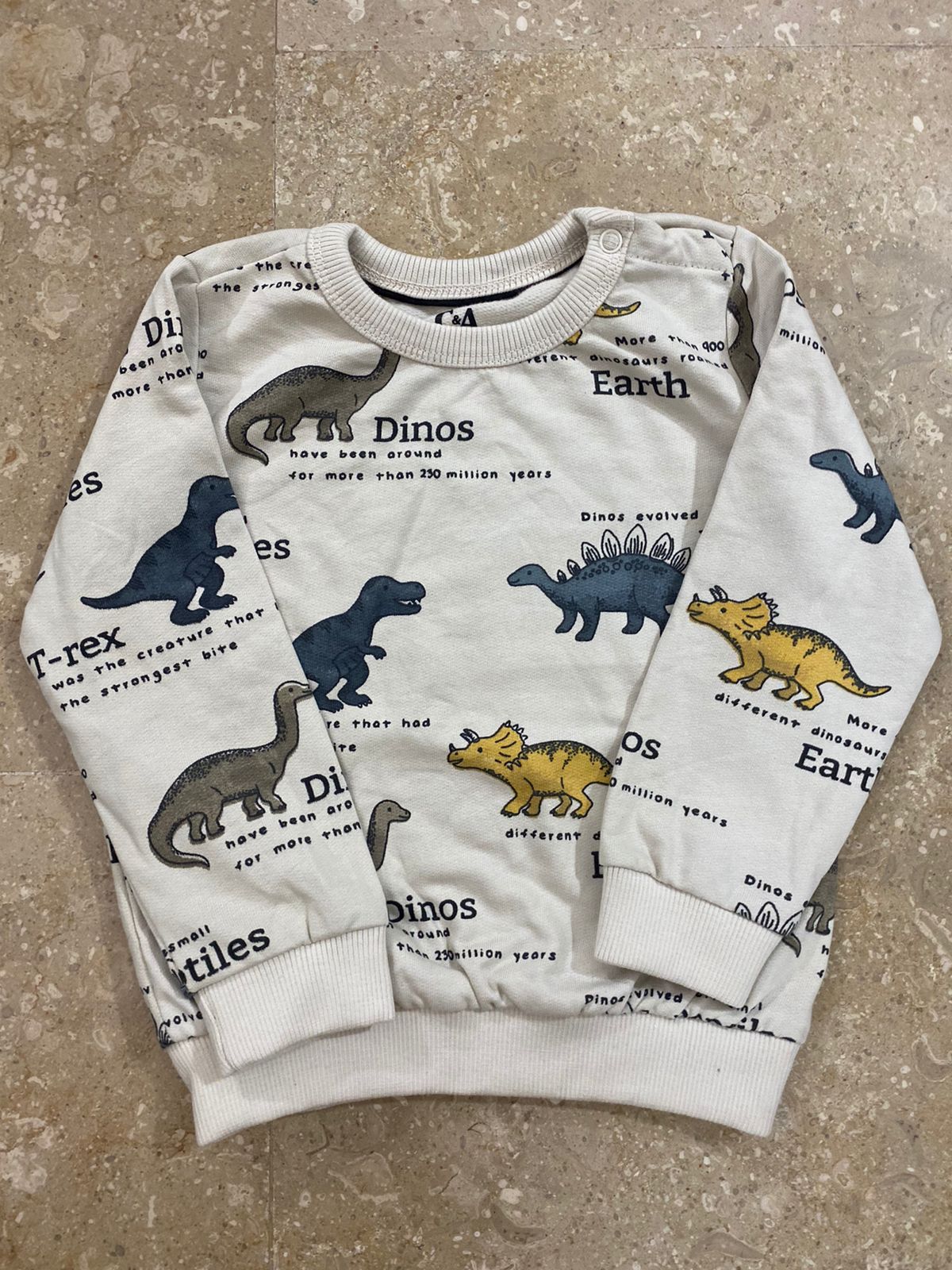 Dino sweatshirt for baby boys