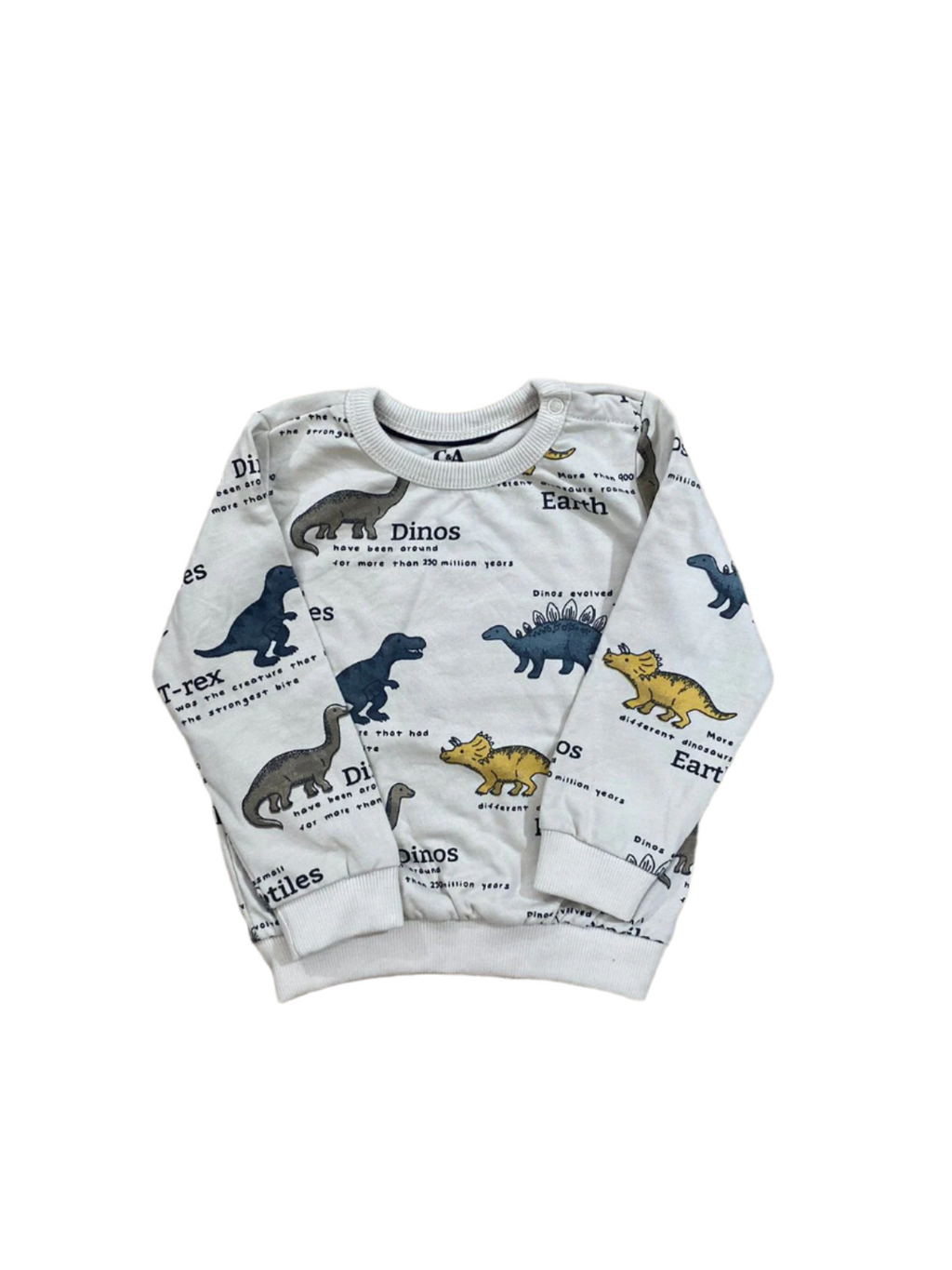 Dino sweatshirt for baby boys