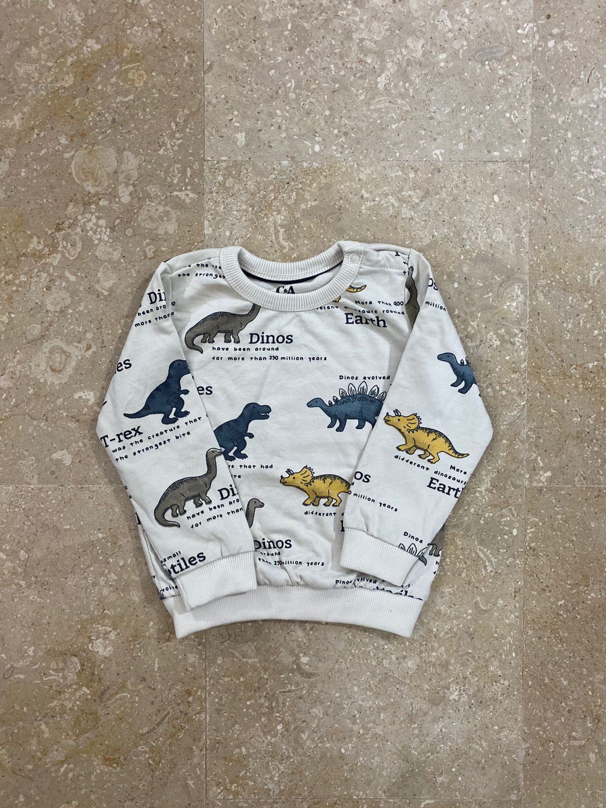 Dino sweatshirt for baby boys