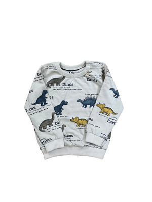 Dino sweatshirt for baby boys