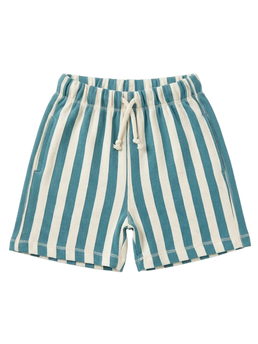 Zara Branded Blue Stripe Short