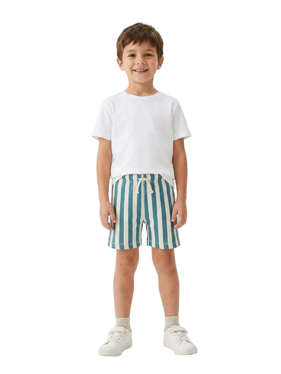 Zara Branded Blue Stripe Short