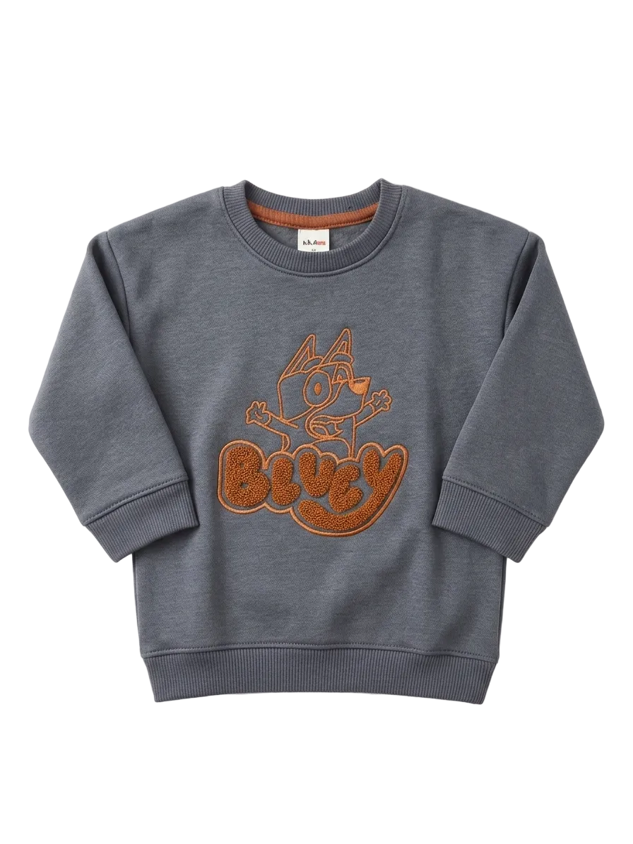 Bluey Character Sweatshirt for Boy/Girl