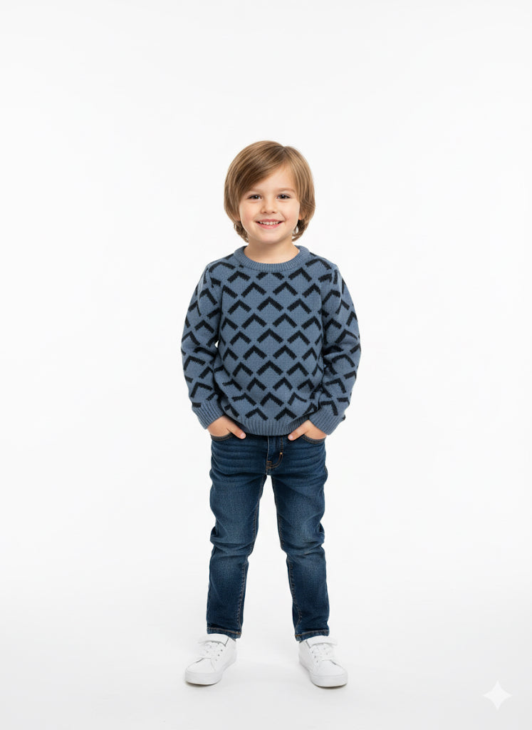 Branded Sweater for Boys (Minor Defect)