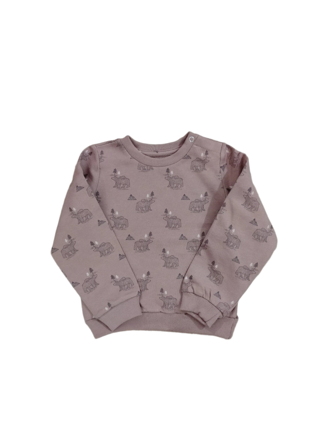 Cute bears printed Sweatshirt