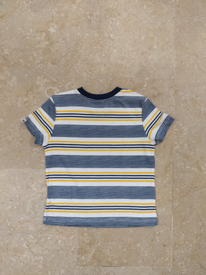 Multi color Stripes T-shirt for Summers