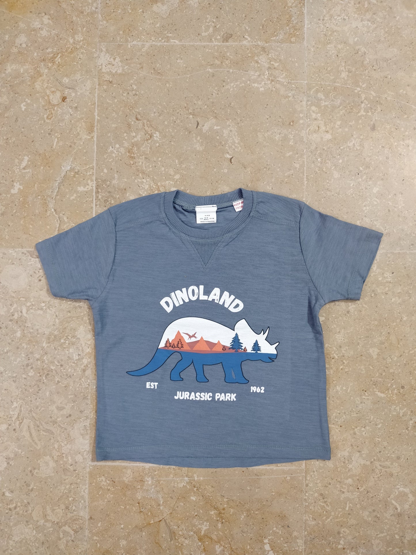 Dino Printed Tshirt for Kids
