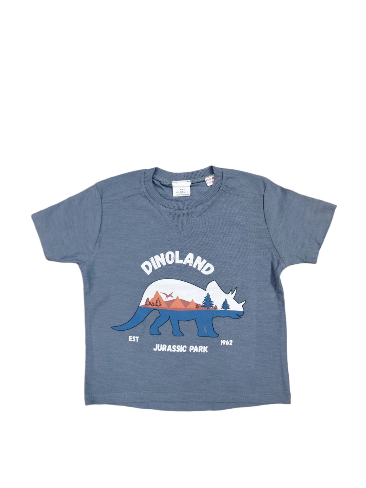 Dino Printed Tshirt for Kids