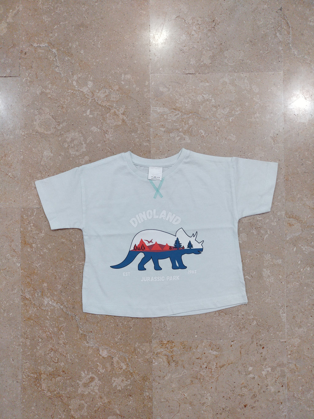 Light Blue Dino Printed Tshirt