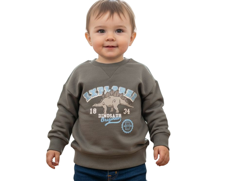 Sinsay Branded Dino Explorer Sweatshirt