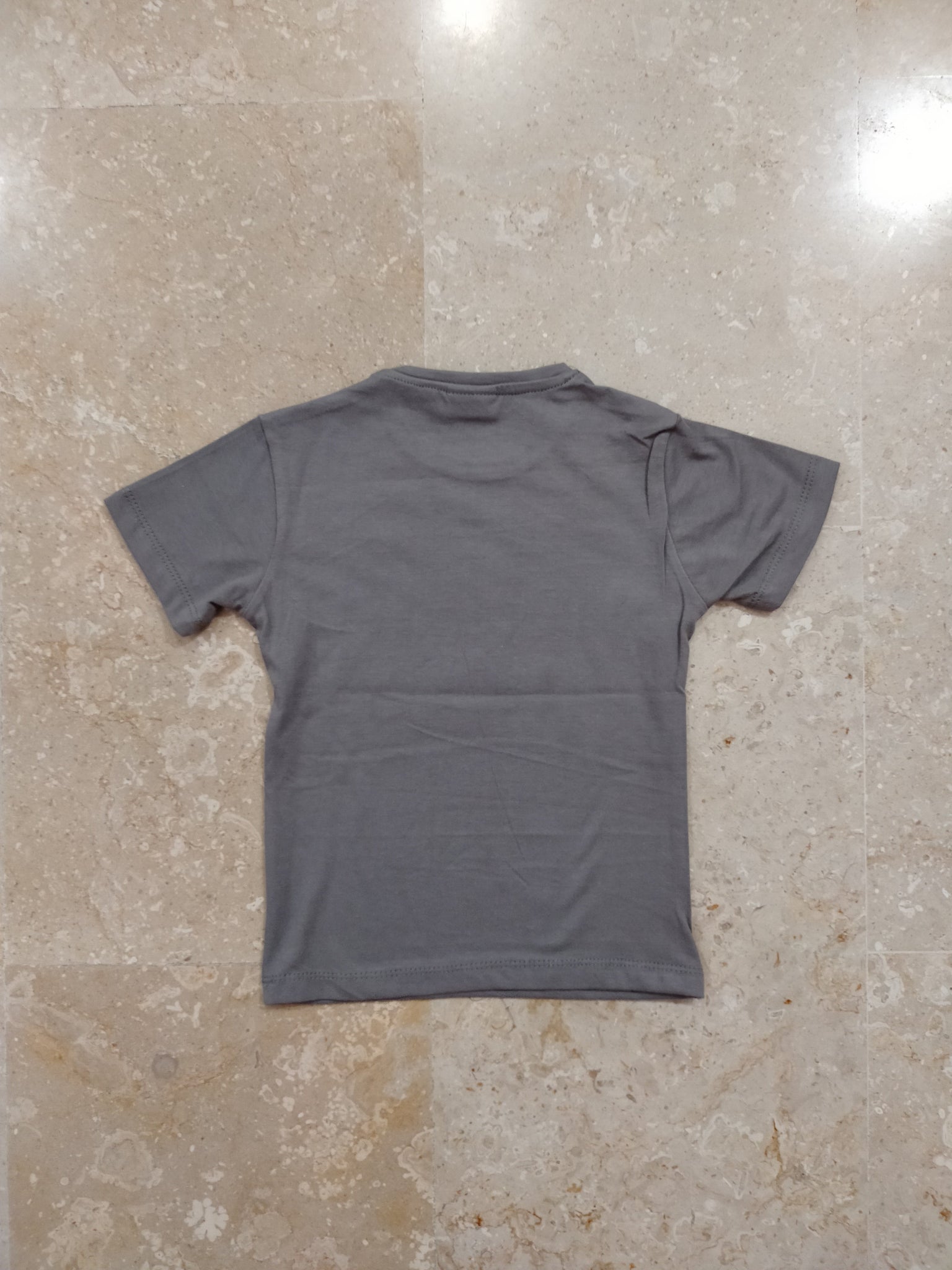 Grey Printed T-shirt for Boys