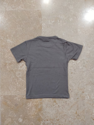 Grey Printed T-shirt for Boys