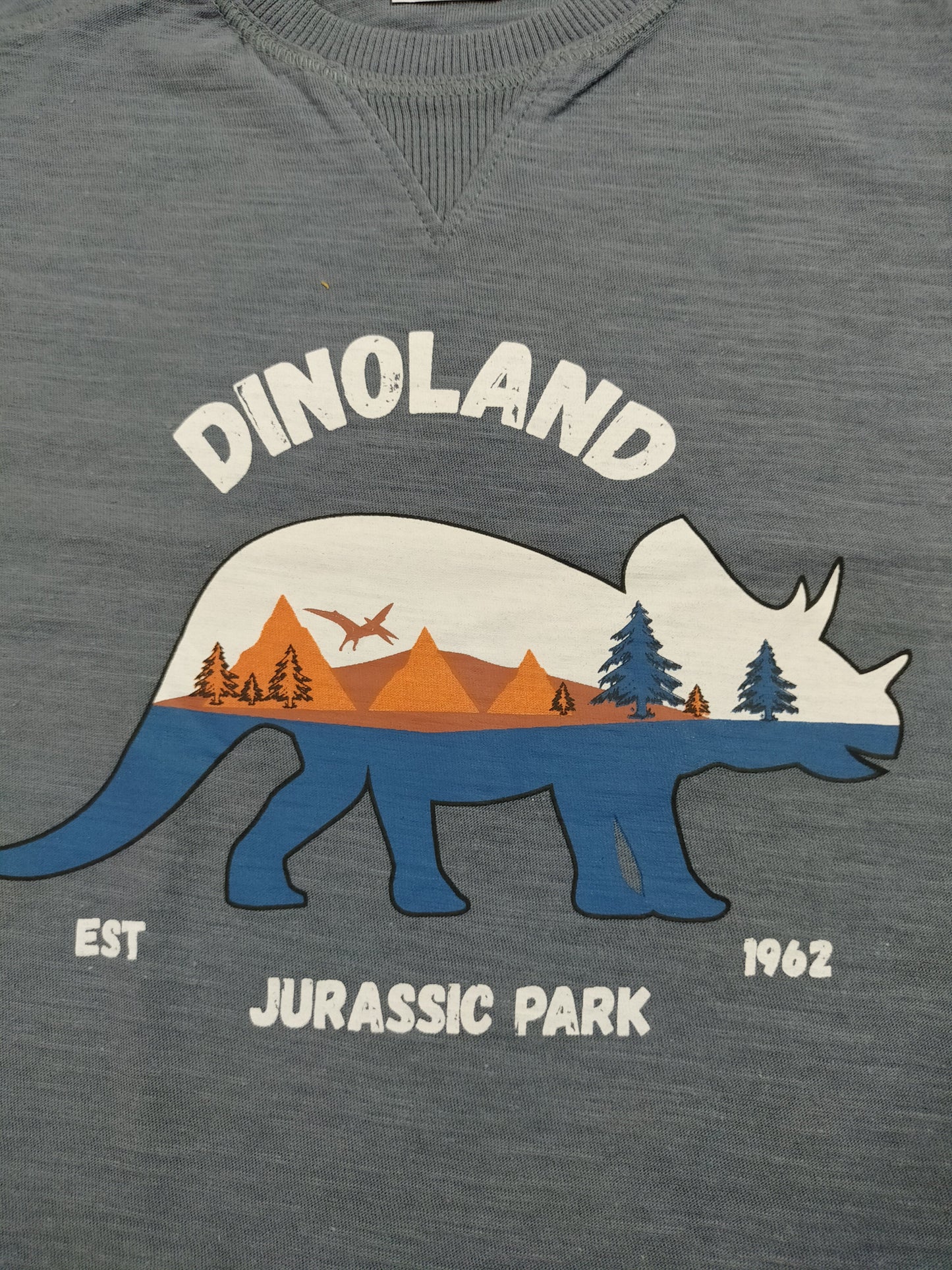 Dino Printed Tshirt for Kids